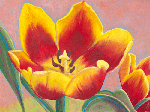 Tulip | Tonton Painting | Antonia Vorster